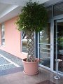 dsc00803