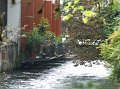dscf3663