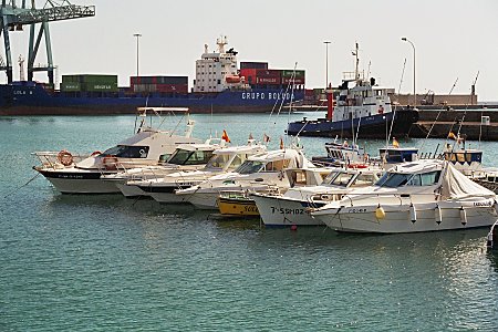 620