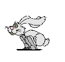 Rabbit is your luck